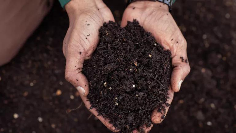 Two hands hold a mound of rich brown soil