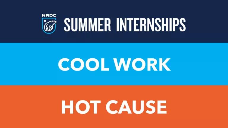 A graphic that says "Summer Internships," "Cool Work," and "Hot Cause"