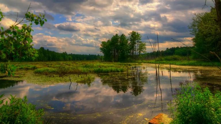 Puffer Pond Assabet River National Wildlife Refuge